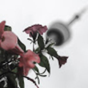 Meet your Posher, Gavin